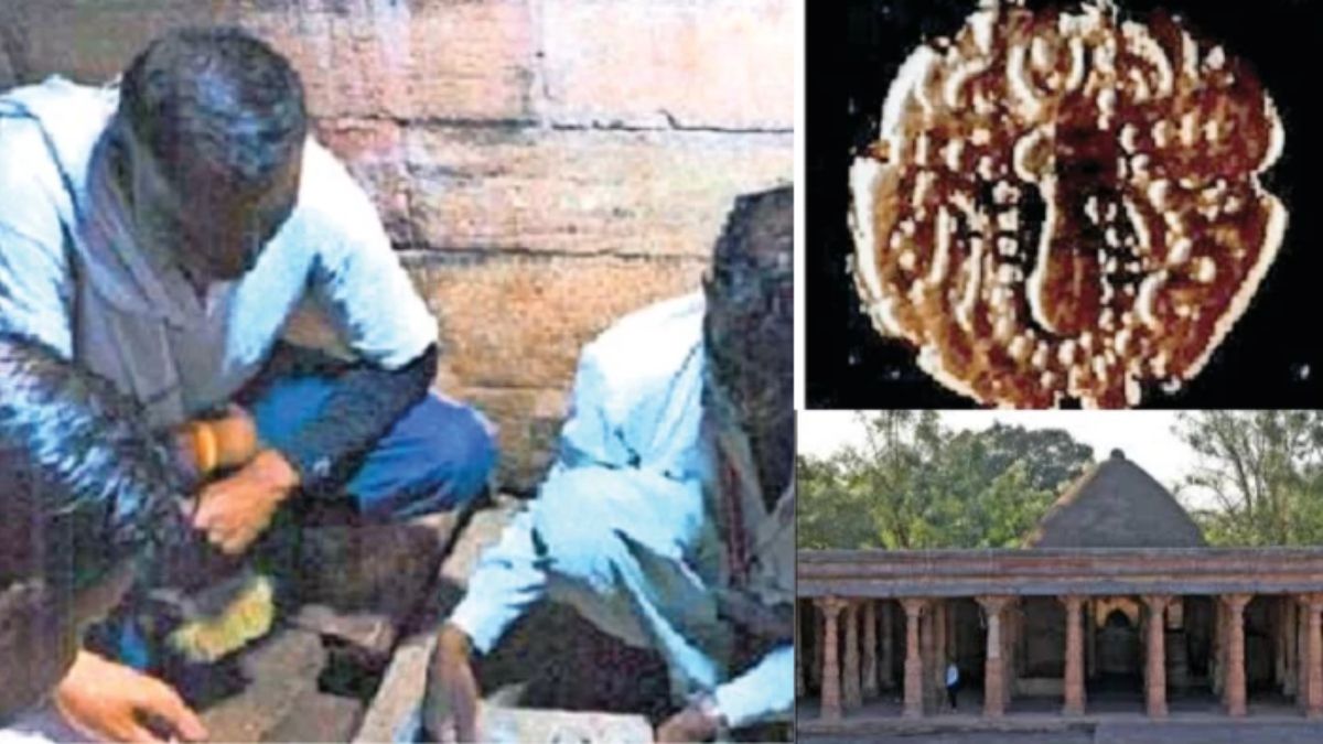 naidunia_image